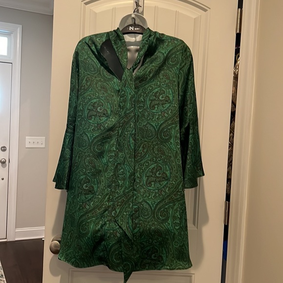 Julie Brown Green Paisley silk dress - Picture 2 of 4